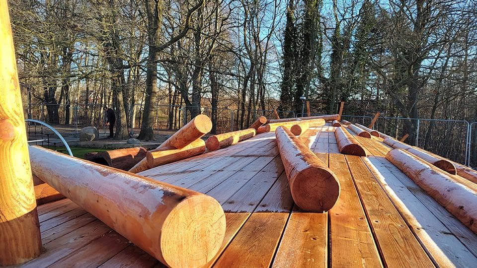 Fældede træstammer og tømmer på træbund i skovområde