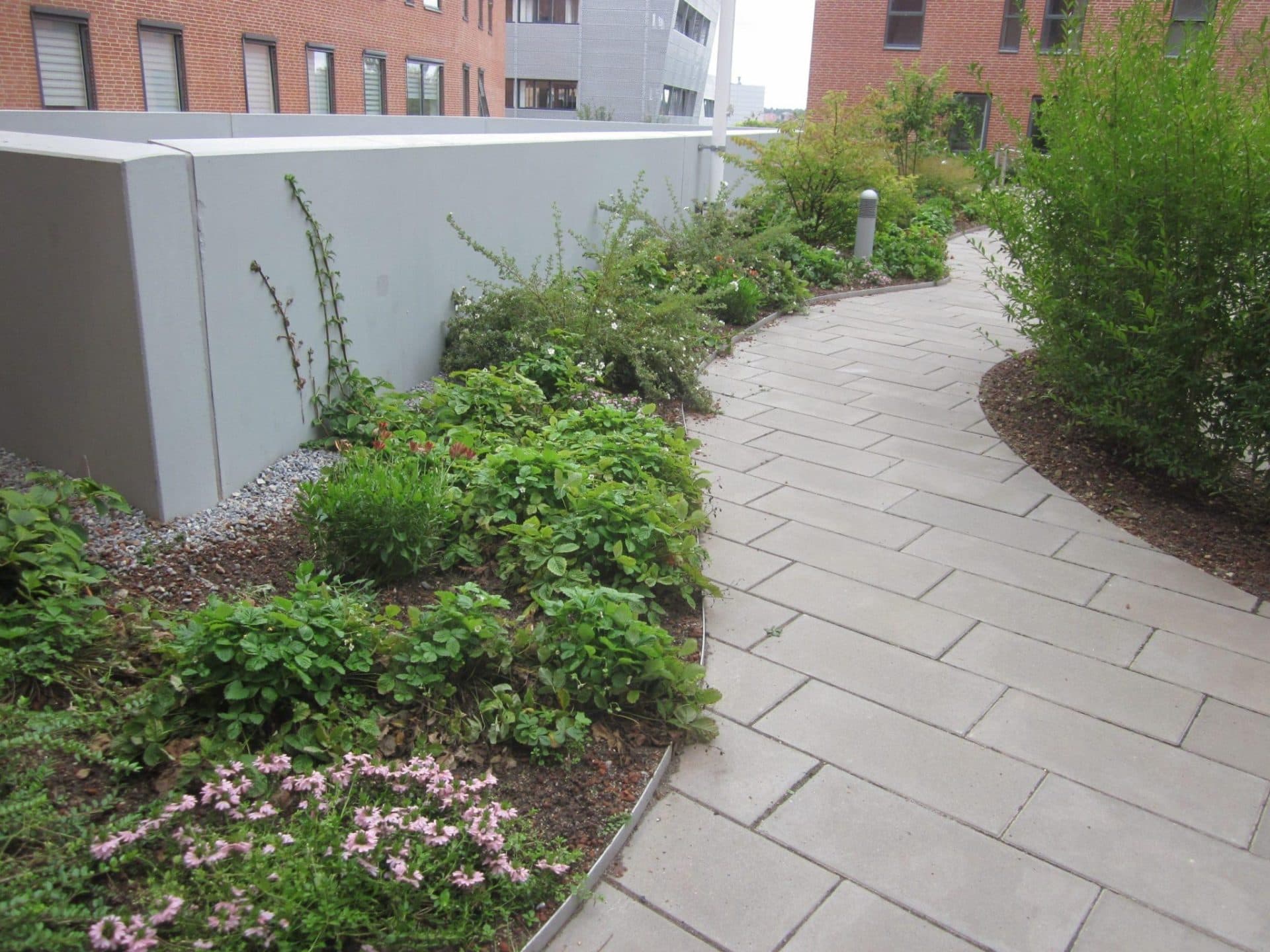 Beplantning på p-hus ved Thors Bakke i Randers