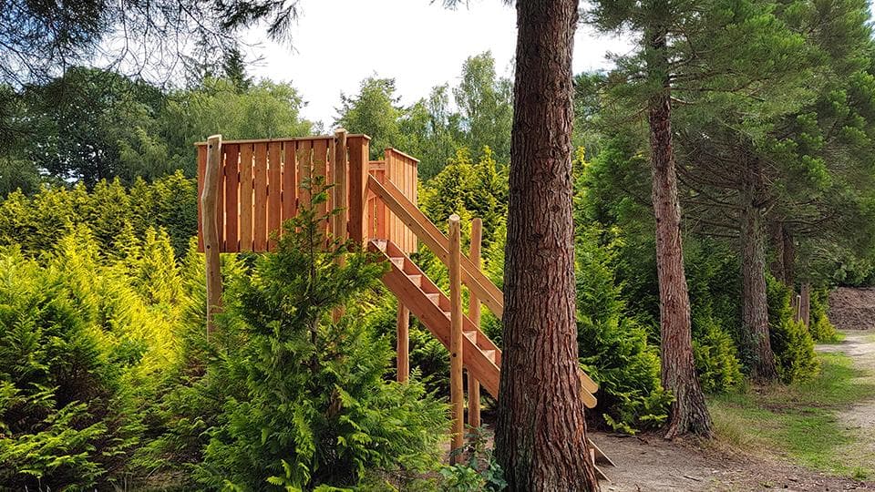 Træplatform i træ med trappe omgivet af høje fyrretræer og grøn vegetation