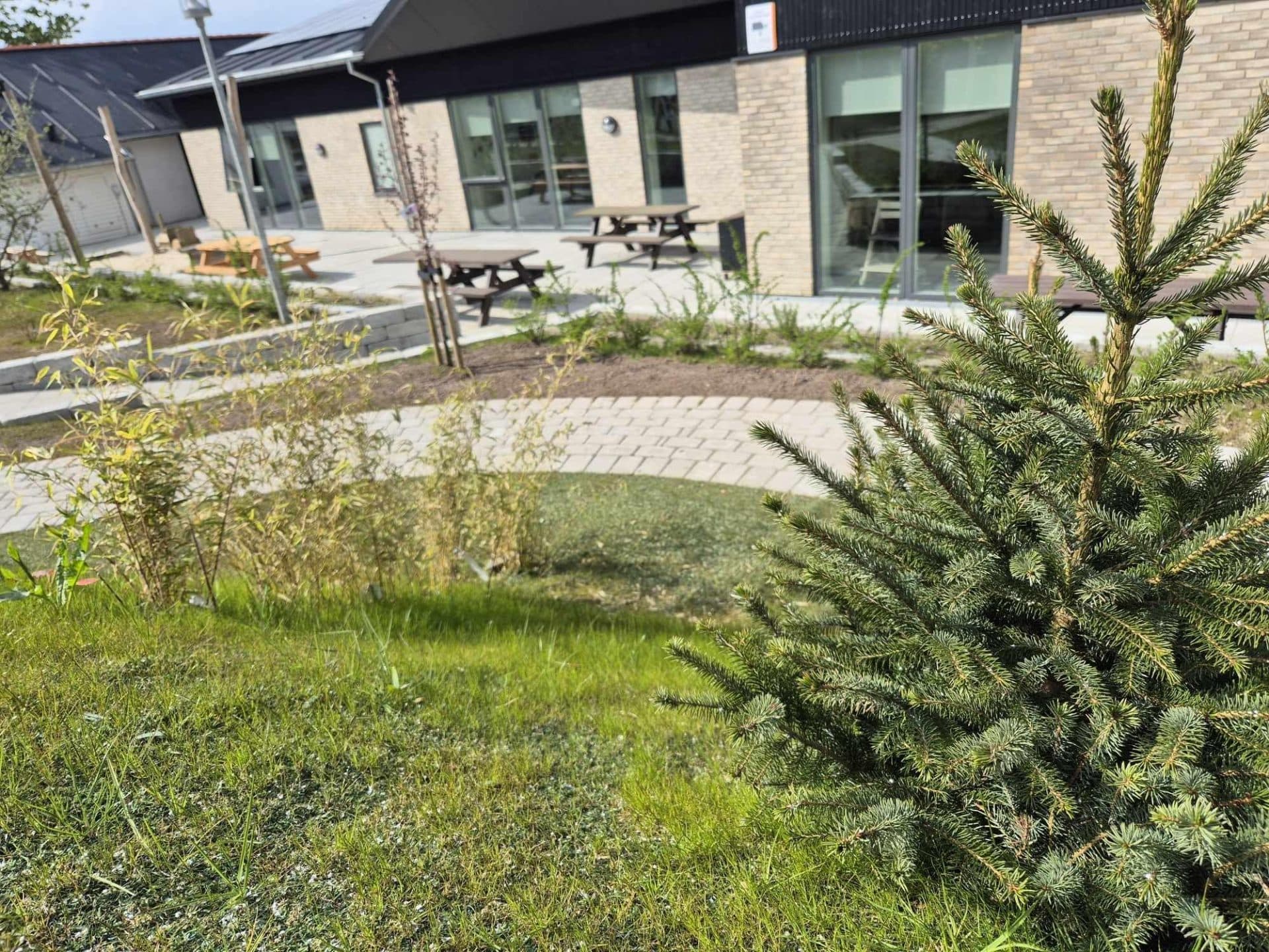Grønt område med unge træer og buske foran moderne bygning med terrasse