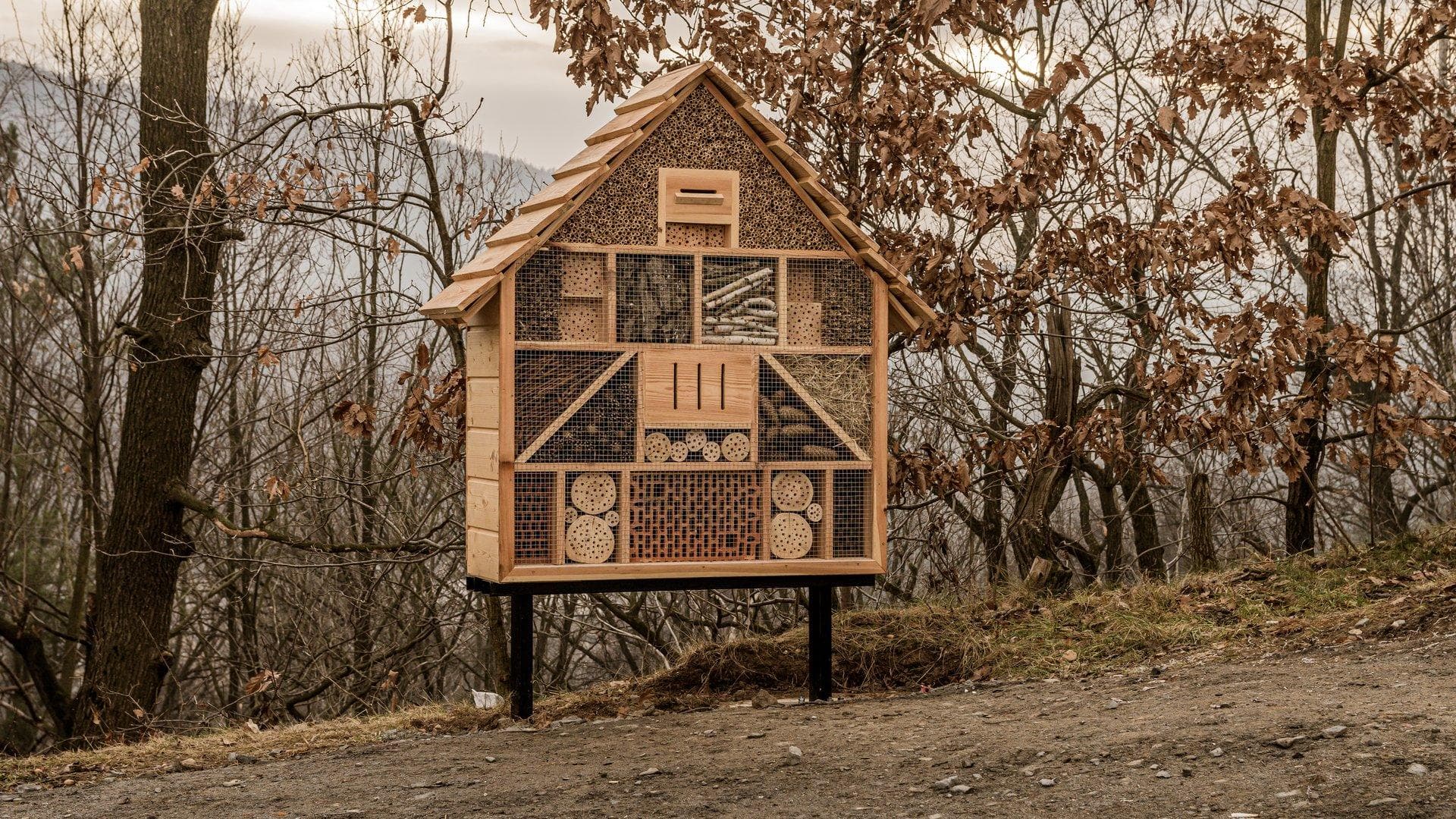 Insekthotel Park og lan