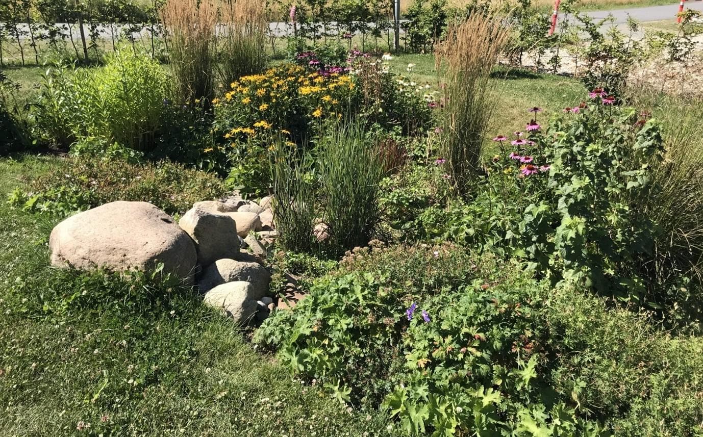 Barn i sort jacket udforsker plantet naturlegeplads med blomster og buske
