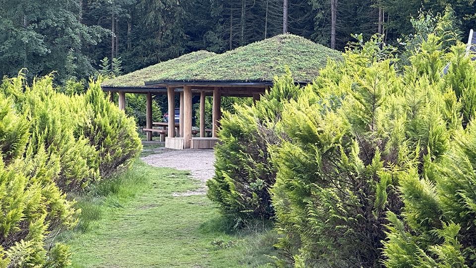 Pavillon med grønt tag omgivet af høje buske og skovkant