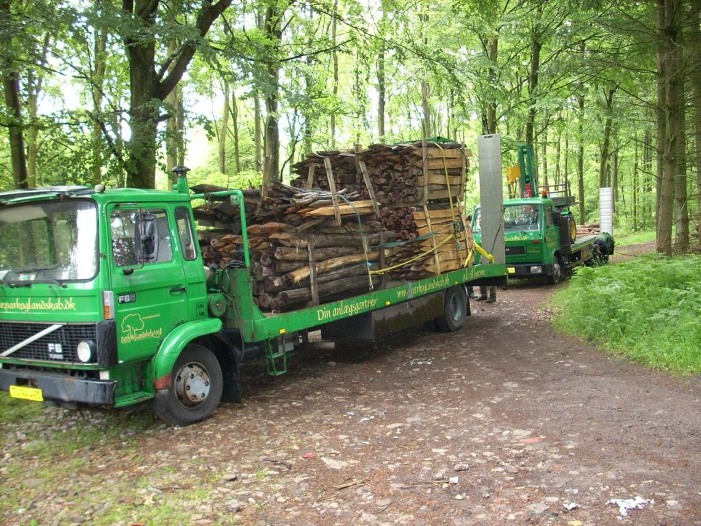 Vildsvinehegn på robiniapæle i Viskum Skov