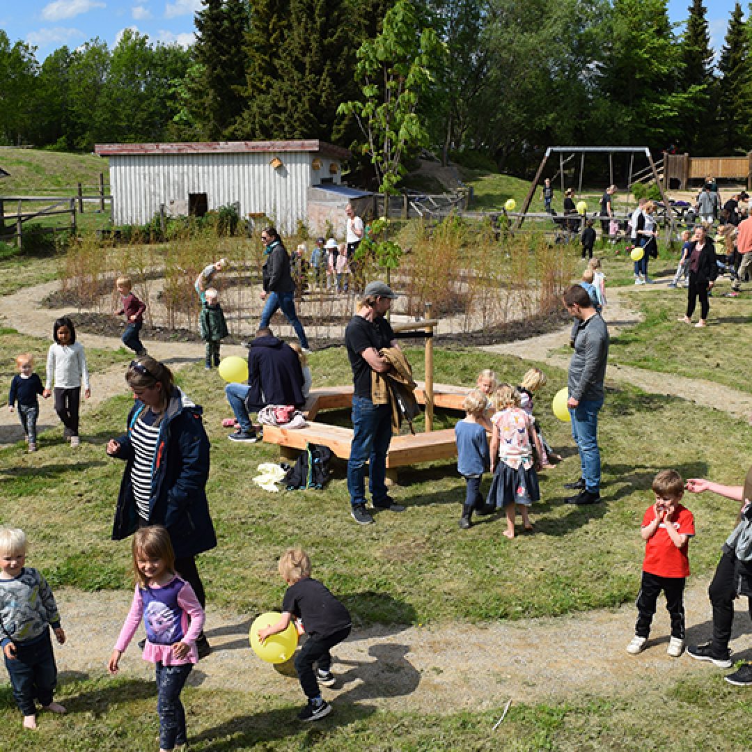 Sansehaven med stiforløb og beplantning