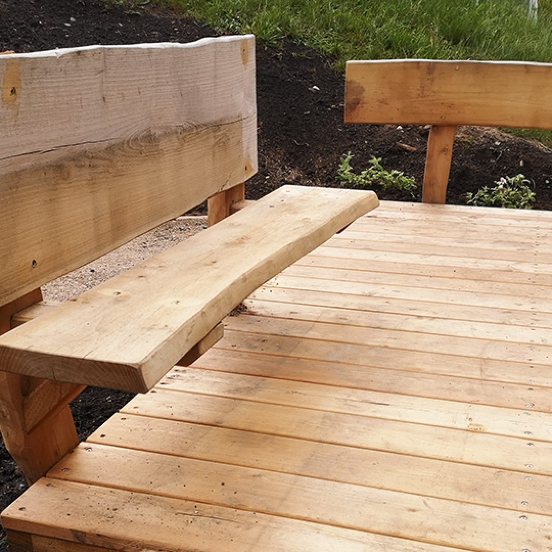 Sanseplanter langs stien