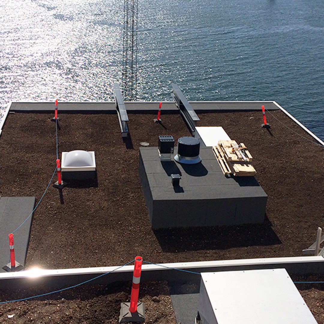 Beplantning ved Harbour Isle Apartments