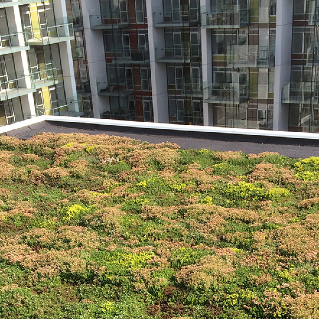 Belægning og opholdszone ved boligprojekt