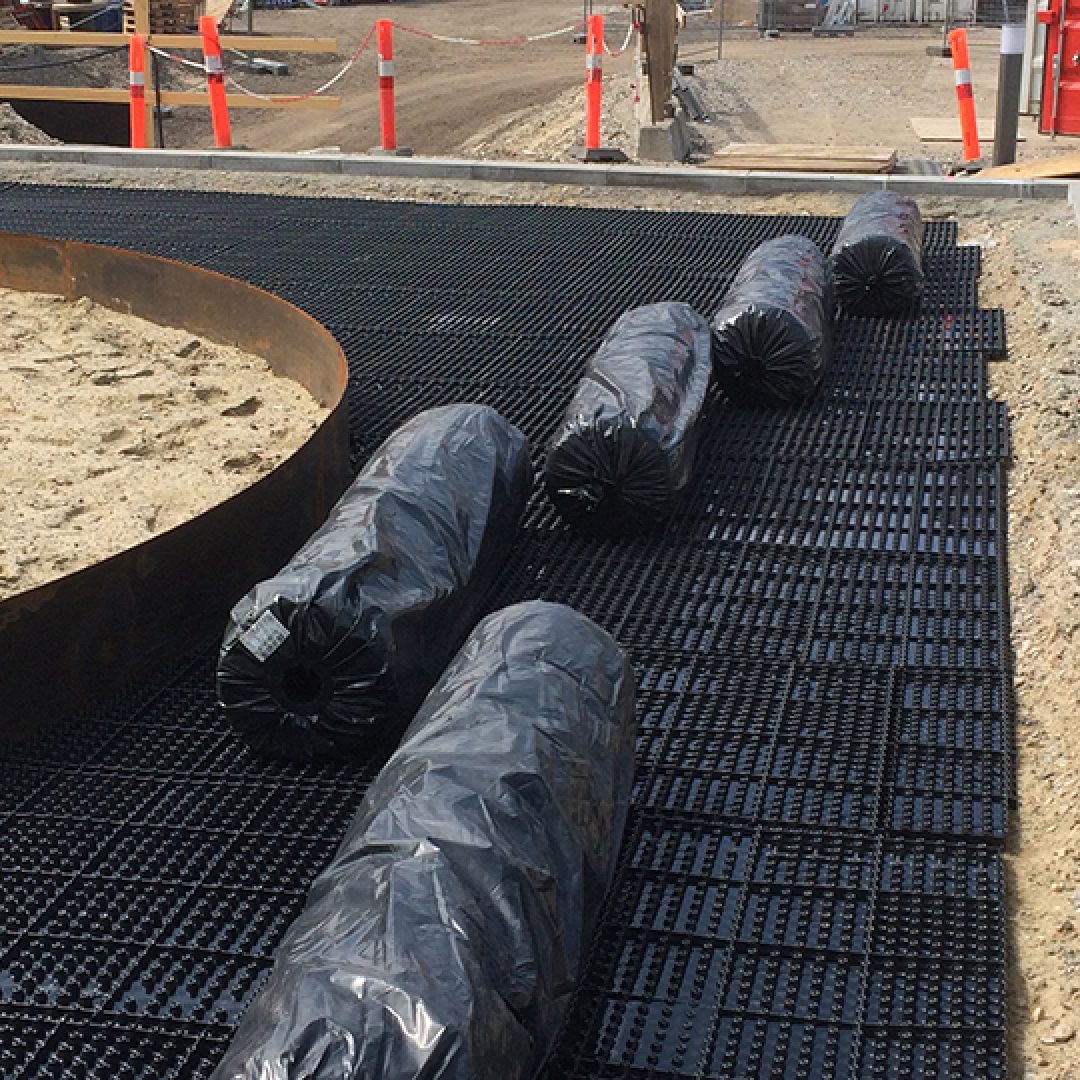 Anlæg og beplantning ved Harbour Isle