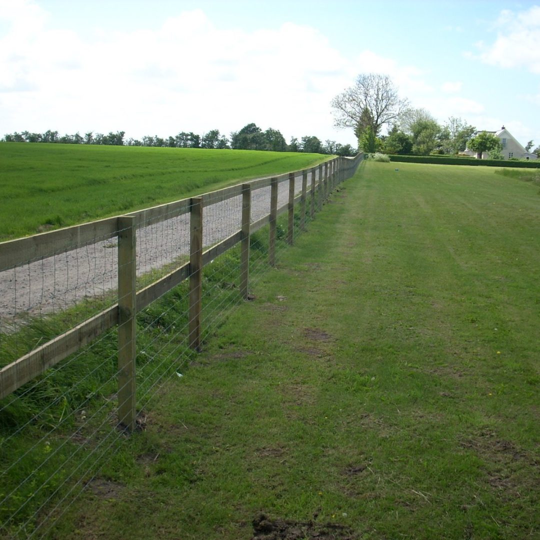hundehegn-ved-faarup-3