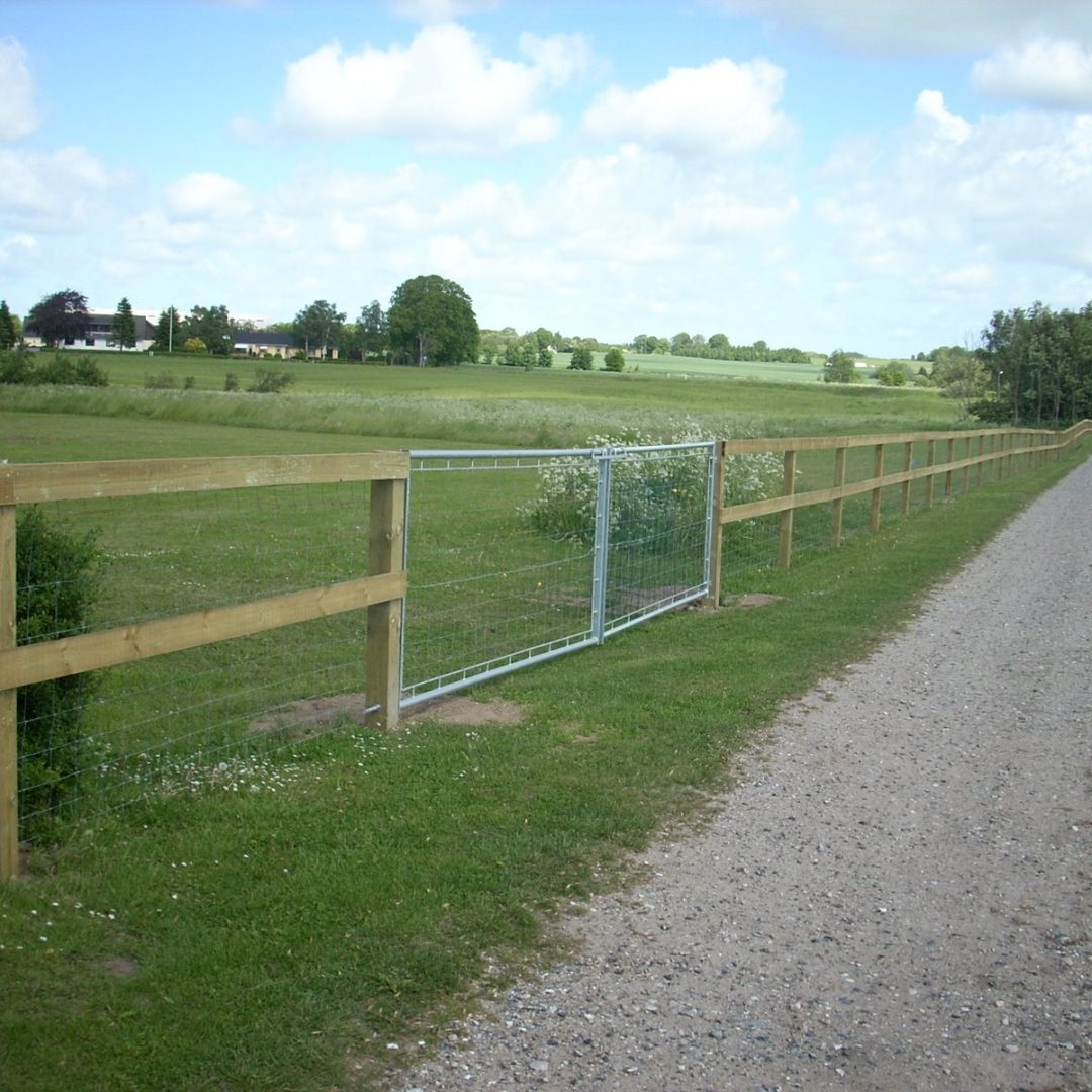 Næsten 500 meter hundehegn i landskabet ved Fårup