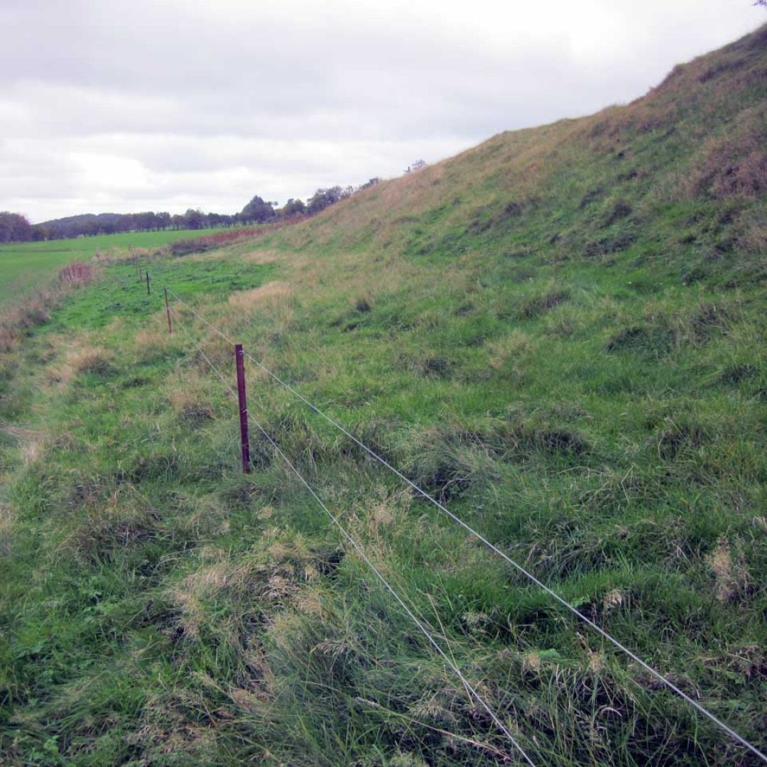 Hegn i landskab på NATURA 2000-areal