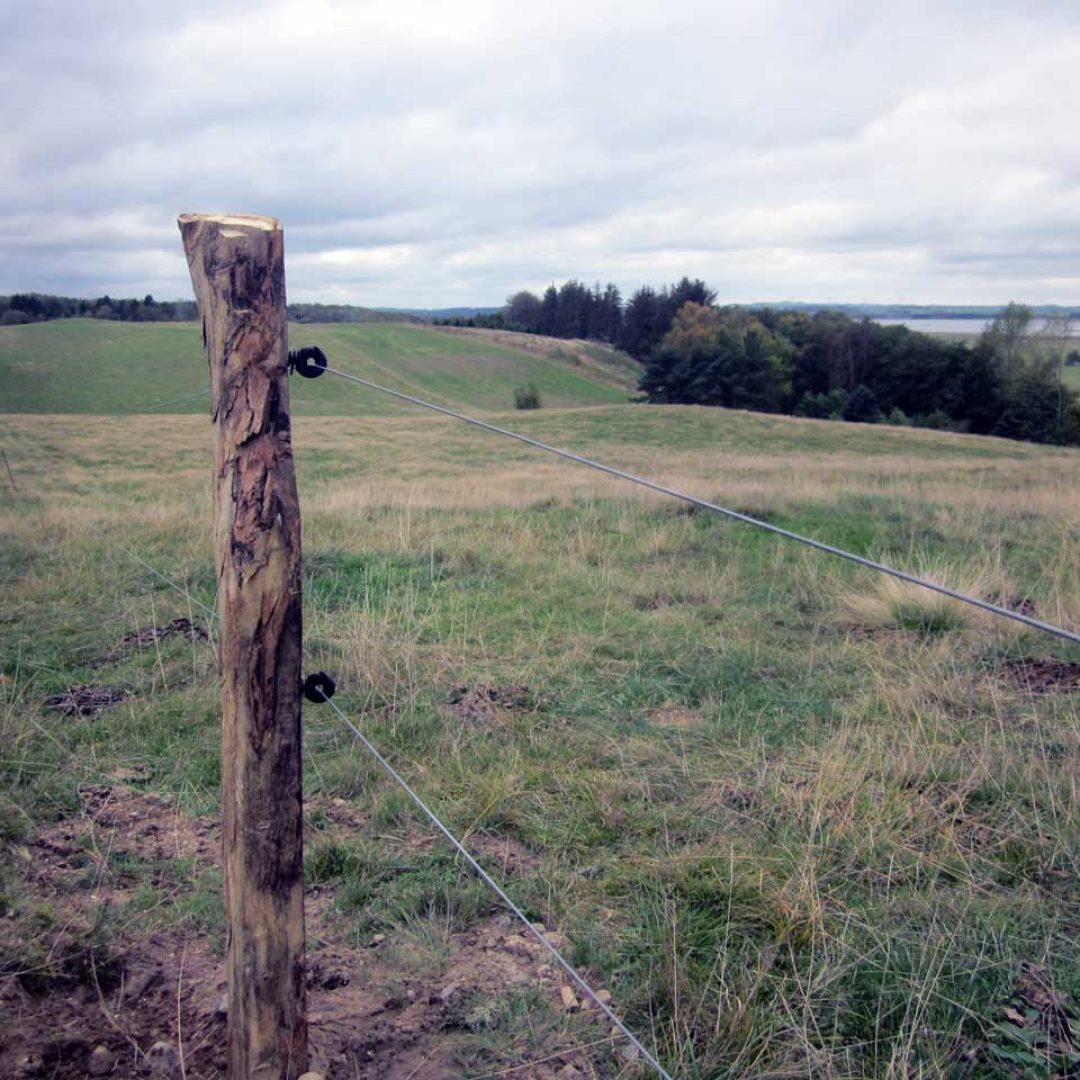 Færdigt naturhegn til afgræsning