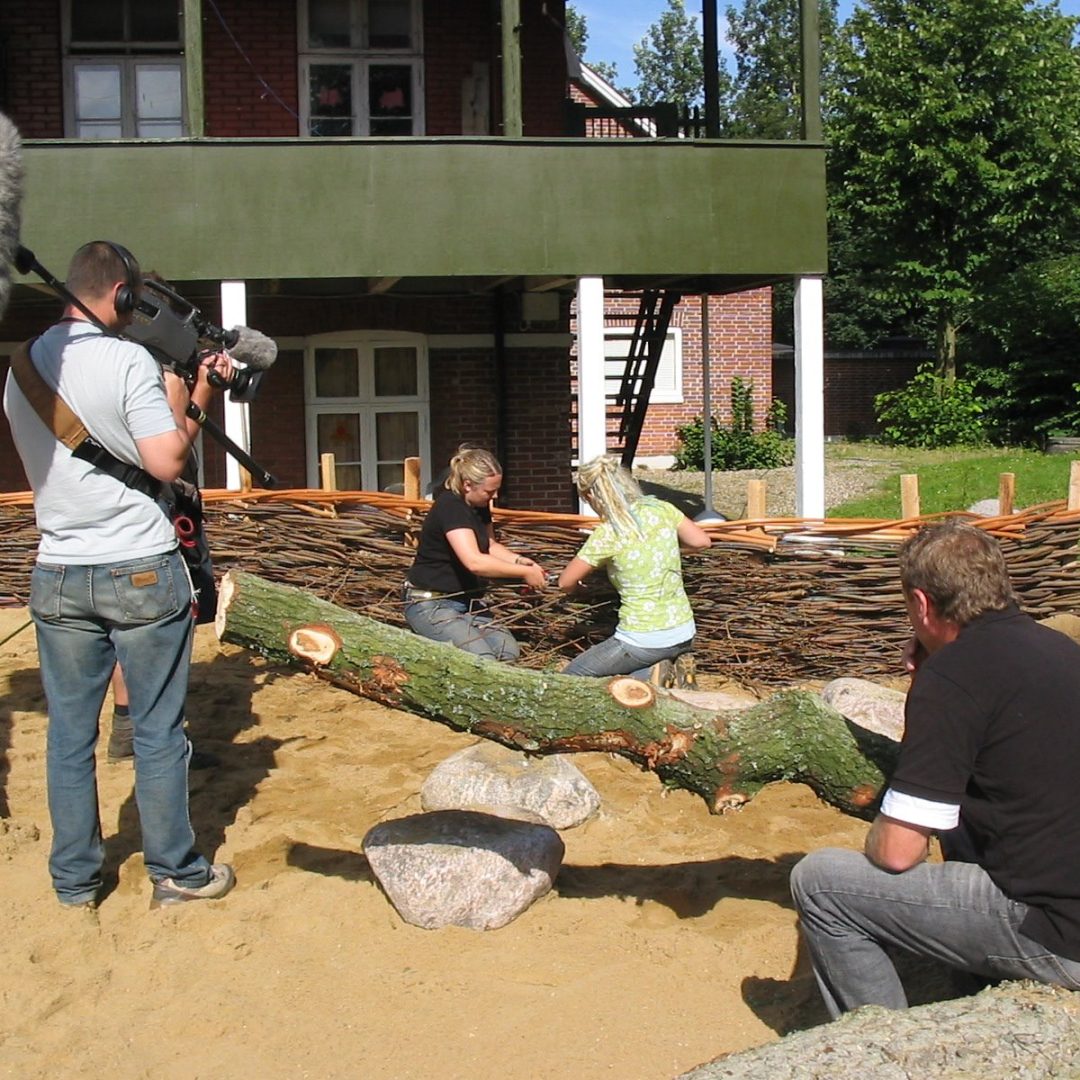 Pileflethegn på robinia stolper