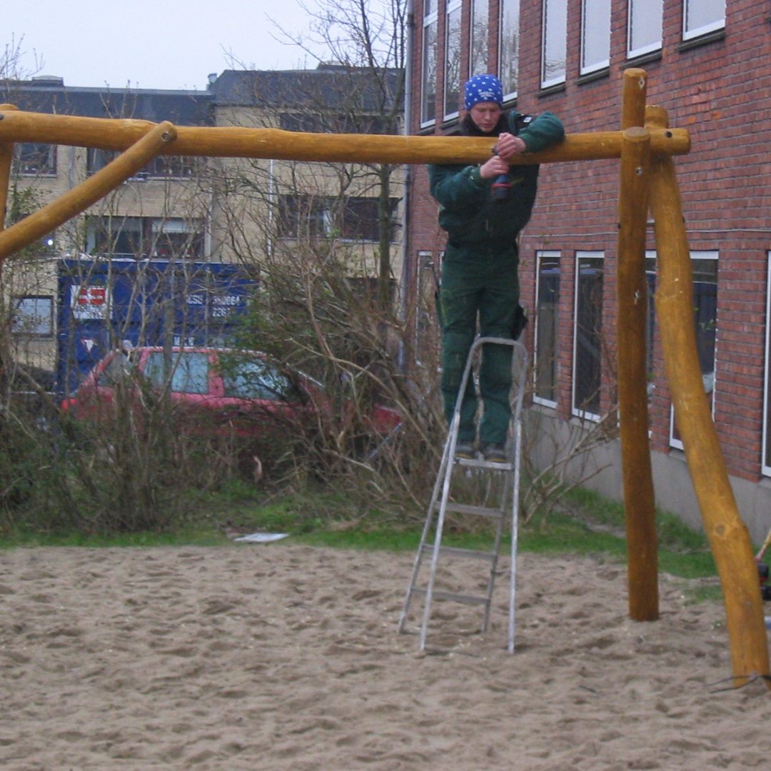 Robiniagynger i Aalborg på legeplads