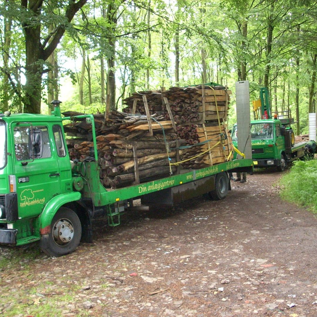 Vildsvinehegn på robiniapæle i Viskum Skov